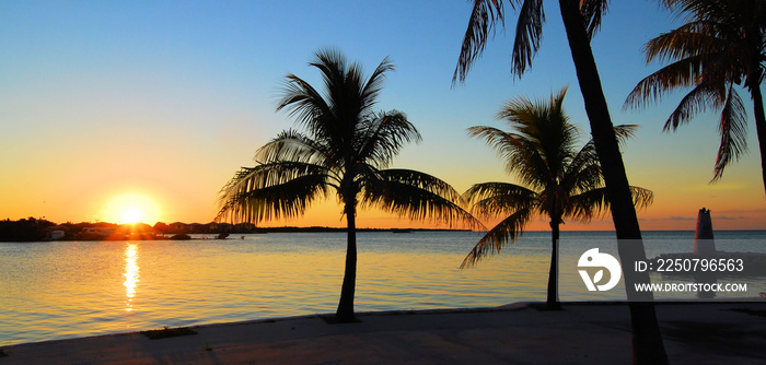 从日出到日落/佛罗里达群岛的景色