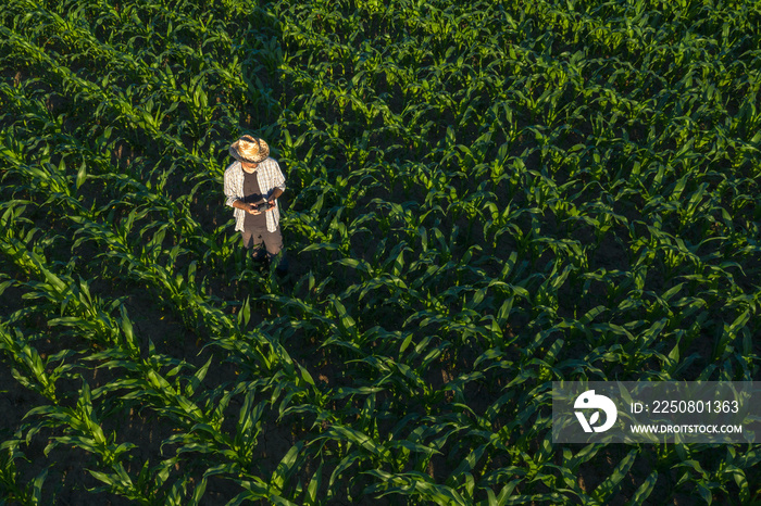 Corn farmer with drone remote controller in field