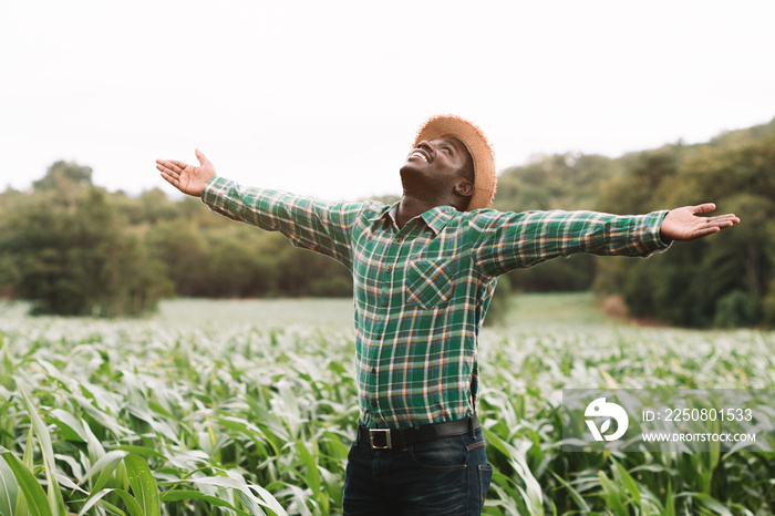 Freedom African Farmer man stand at the green farm with happy and smile.