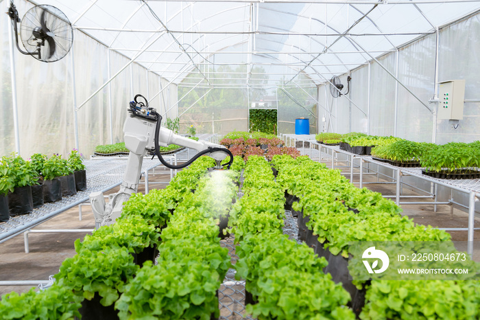 农业中的智能机器人农民未来机器人自动化工作为植物浇水