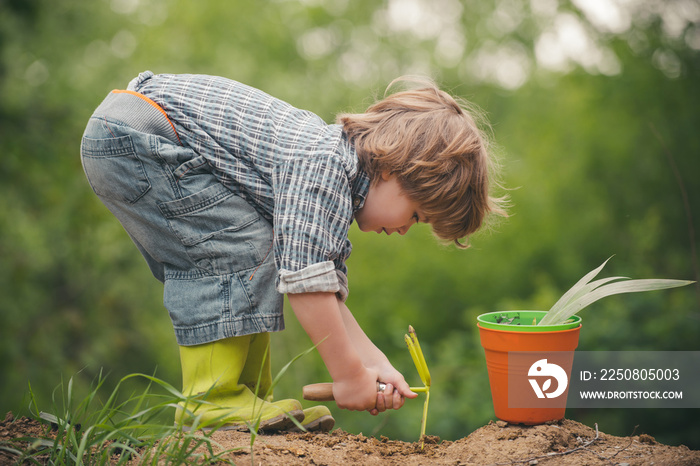 Gardener. Organic farm. A child plays a farmer. A boy on the field grows vegetables. Bio food.