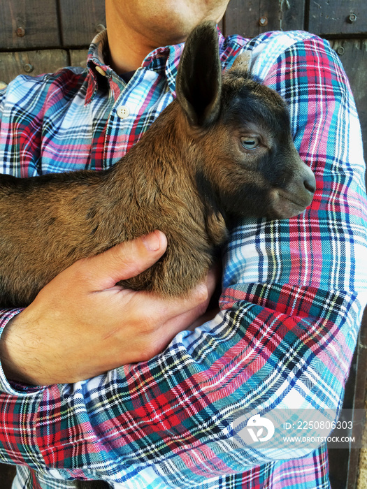 Farmer holding cute brown newborn goat, close up, wooden background. Rustic scene, farm life.