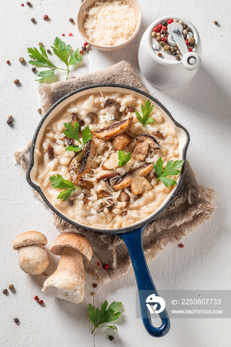 Homemade risotto with boletus mushrooms and parsley