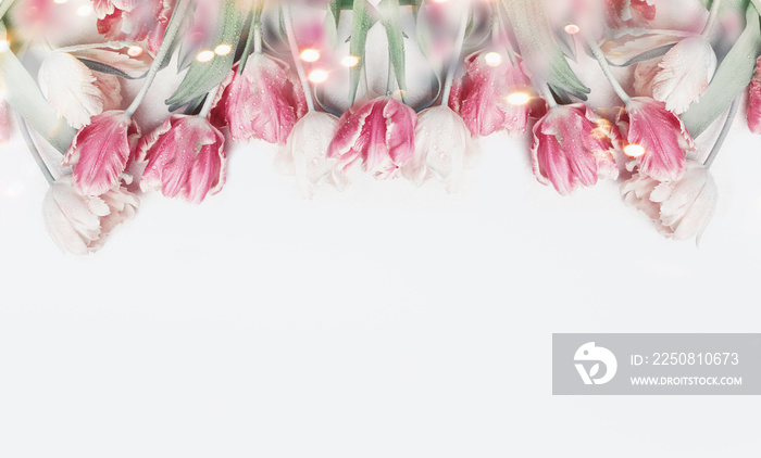 Lovely pastel color tulips border on white background with bokeh. Springtime flowers, top view. Spri