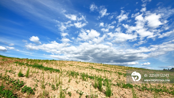 classic rural landscape. Green field against blue sky