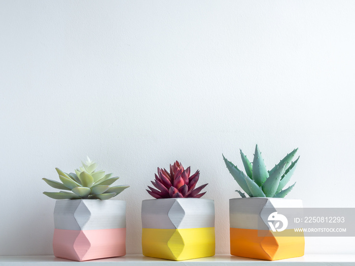 Cactus pot. Concrete pot. Modern geometric concrete planter.