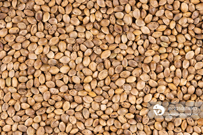 Hemp seeds background. Dry seeds of cannabis, hemp or marijuana.