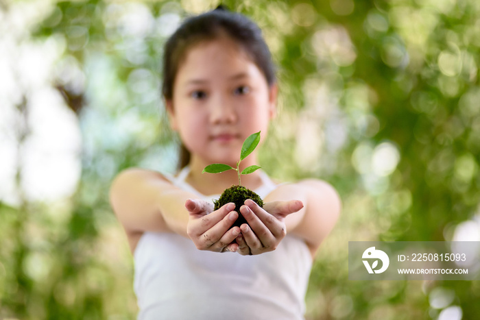 年轻女孩抱着一棵幼小的幼苗