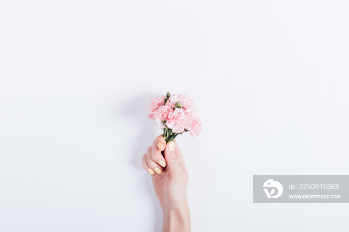 Small bouquet of pink carnations in a womans hand with yellow n