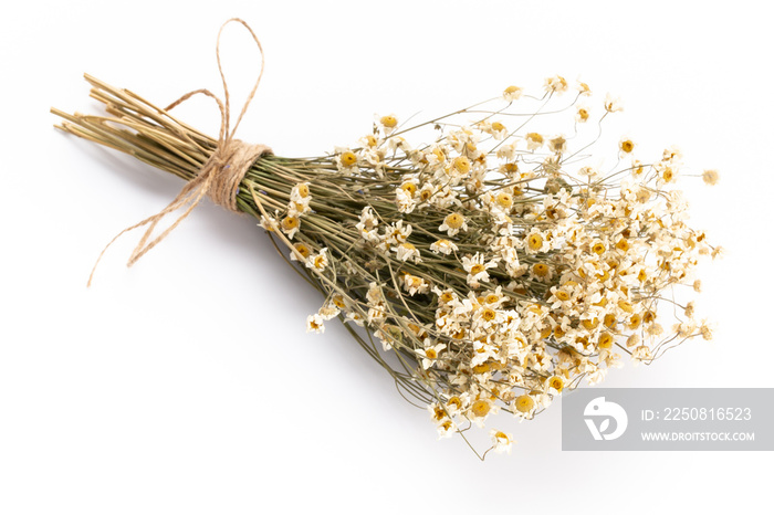 Composition with chamomile flowers and homemade cosmetic, essential oil, sopa,  on white background,