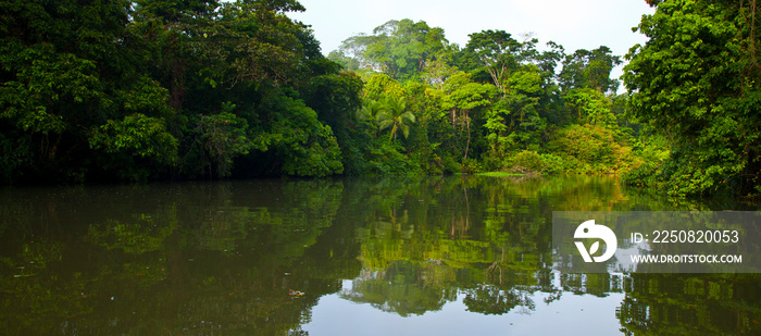 Tortuguero River, Tortuguero National Park, Costa Rica, Central America, America