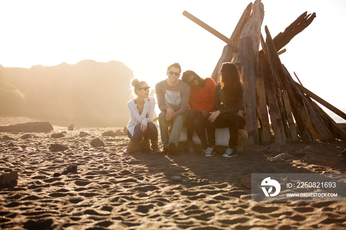 Portrait of friends sitting by stack of driftwood on beach