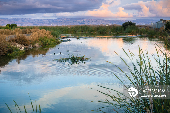 Sunset landscape of the marshes of south San Francisco bay, Sunnyvale, California