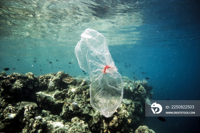 Plastic bag drifting over coral reef underwater