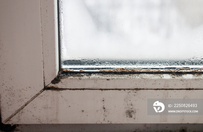 black mold on a plastic window, dangerous to humans