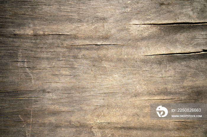 the texture of old wood plywood cracked by moisture is gray with cracks