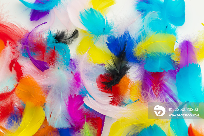 Many colorful feather texture