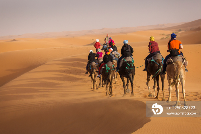 撒哈拉沙漠甜点中的骆驼商队，背景是美丽的沙丘。摩洛哥