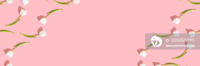 Banner of tulips on a pink background.