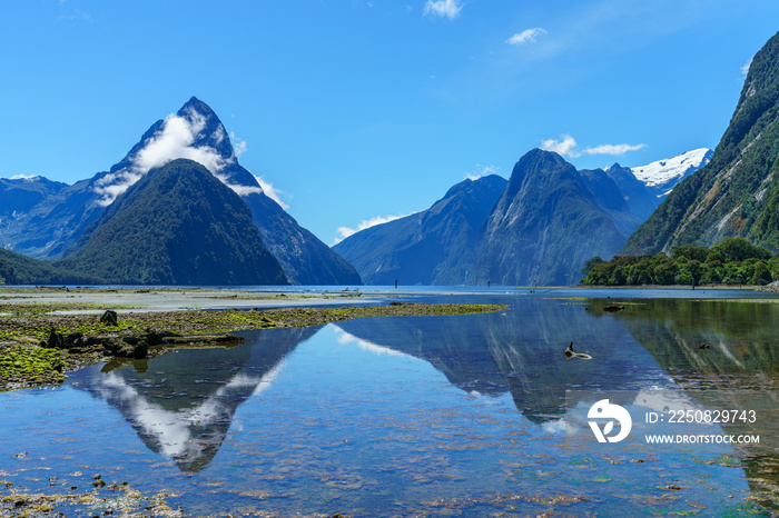 reflections of mountains in the water, milford sound, new zealand 14