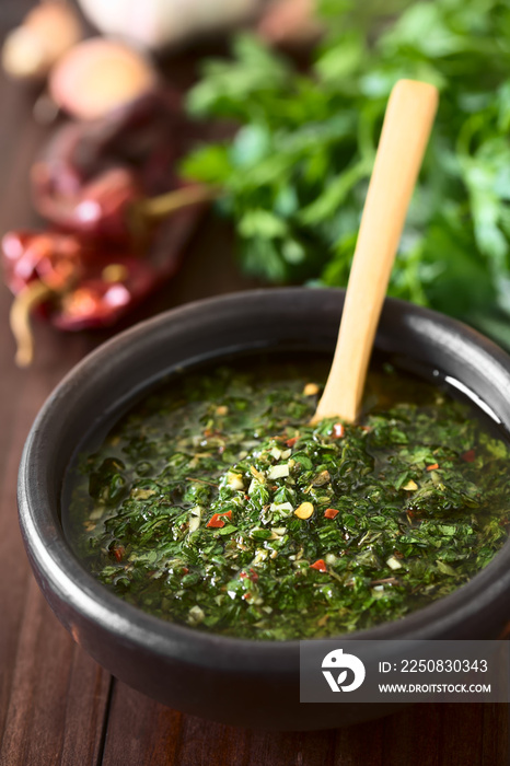 生的自制阿根廷绿色Chimichurri或Chimmichurri salsa或由欧芹、大蒜等制成的酱汁