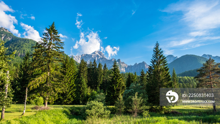 Summer has arrived in the italian alps