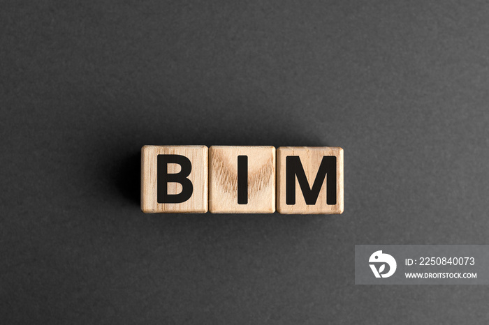 BIM-来自带字母的木块的缩写，缩写BIM建筑信息建模概念