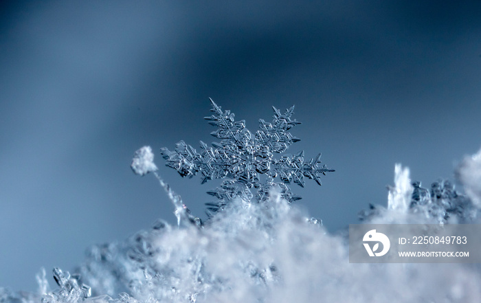 雪中雪花的冬季照片