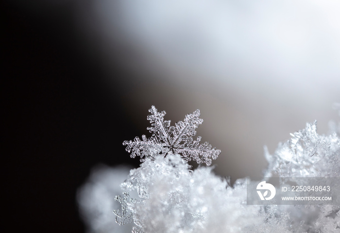 雪上的雪花。寒假和圣诞节背景