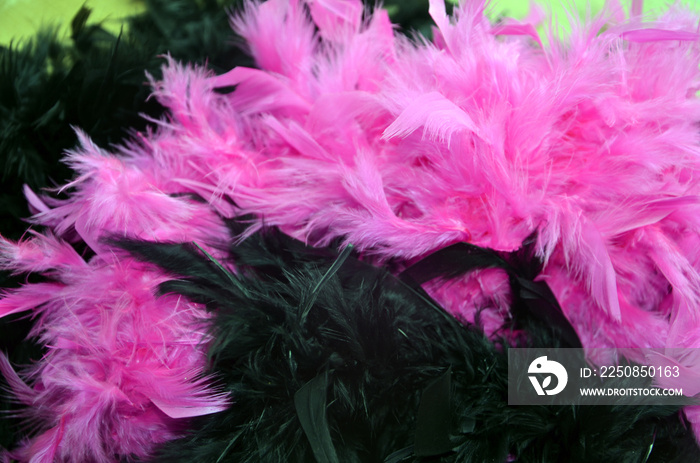 Boas en plumes noires et fuchsias