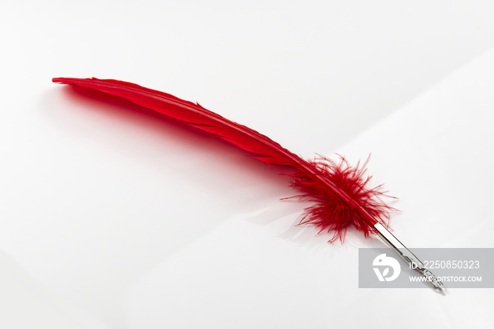 白色背景上隔离的红色羽毛笔