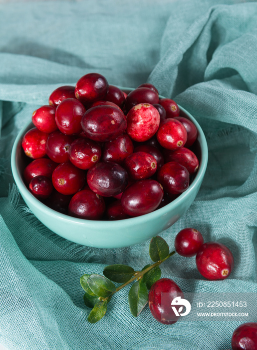 Raw ripe red cranberry berries in light blue bowl