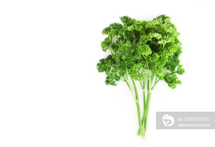 Parsley vegetable isolated on white background