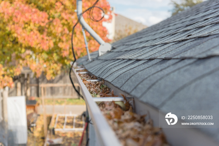 Clogged gutter near roof shingles with colorful fall foliage in background