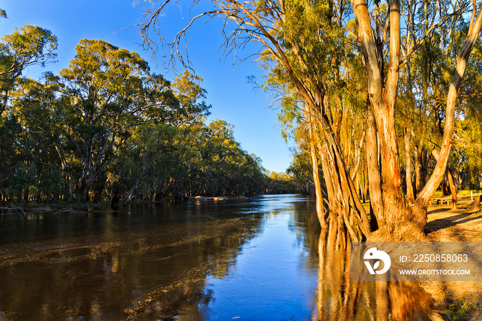 Murrumbidge彩色