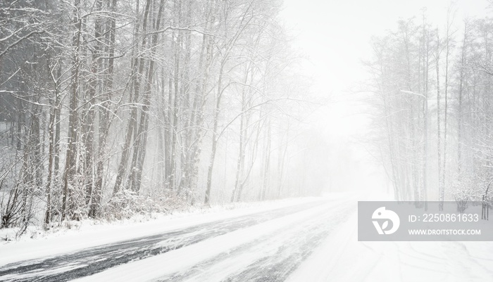 拉脱维亚暴雪期间的冬季道路