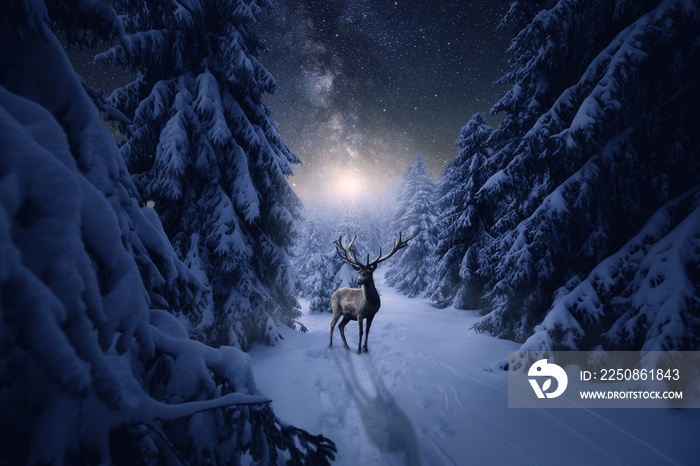 Ein Hirsch in einer kalten Winternacht im Wald. Sternenhimmel mit Mond und Milchstraße