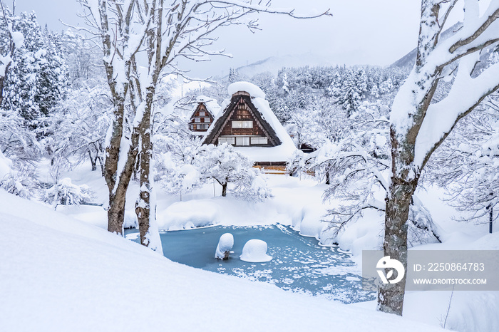 Famous traditional gassho-zukuri farmhouses in Shirakawa-go village, Japan.In the winter all village