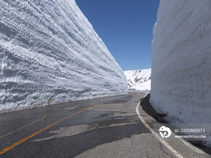 雪の大谷