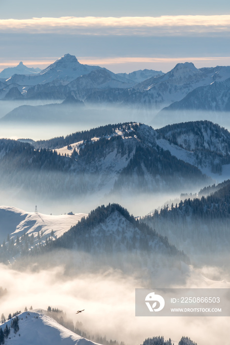 Blick vom Berg Moléson auf die verschneiten Schweizer Alpen