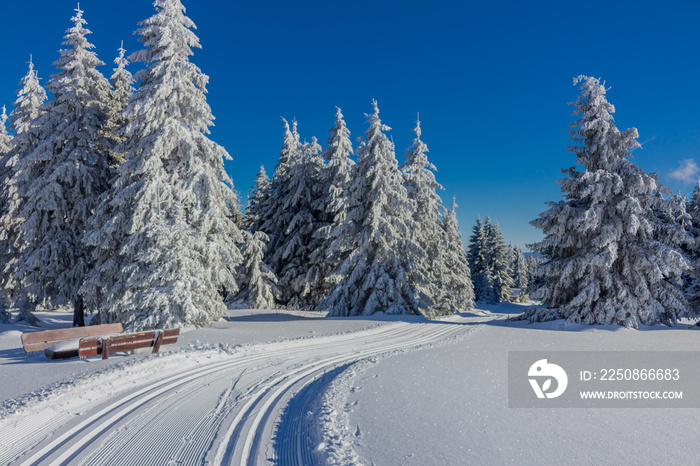 Winterzauber im Thüringer Wald