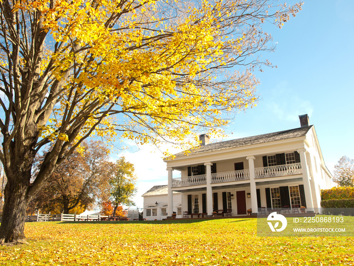 plantation in autumn