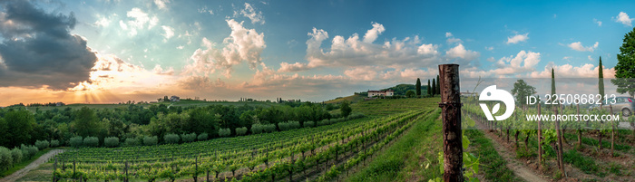 Spring stormy sunset in the vineyards of Collio Friulano, Friuli-Venezia Giulia, Italy