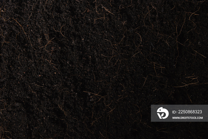 黑色土地作为植物背景，带覆盖物的新鲜土壤俯视图作为园艺纹理，世界土壤