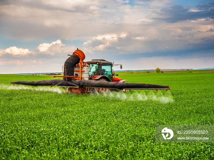 Farmer spraying wheat crops