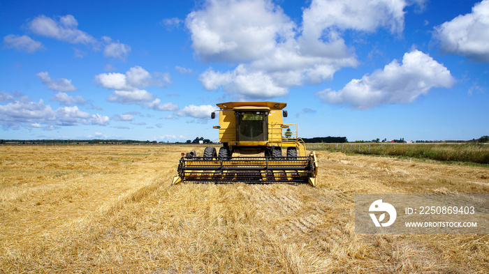 Combine Harvester in the fields of local Ontario farmers ready to collect the crop.