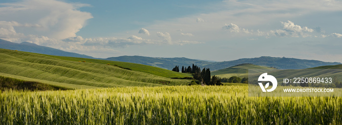 Tuscany - Landscape panorama, hills and meadow, Toscana - Italy