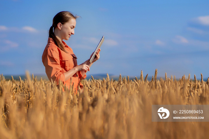 Woman caucasian technologist agronomist with tablet computer in the field of wheat checking quality 