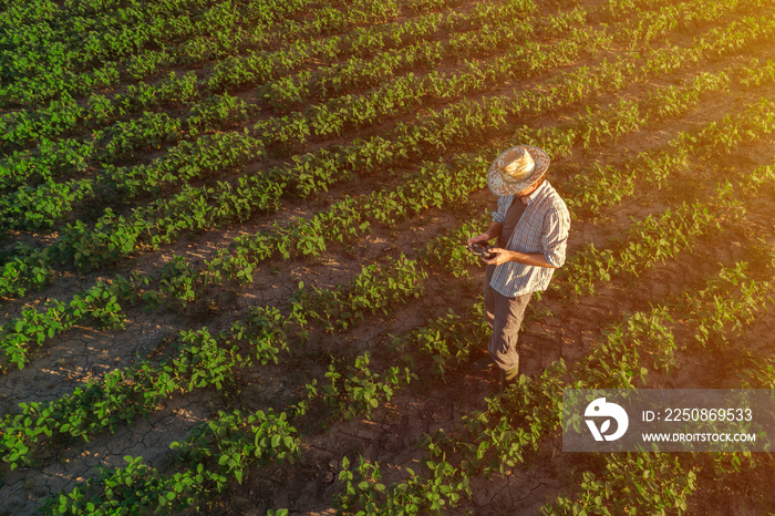 Soybean farmer with drone remote controller in field