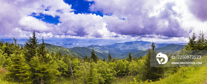 从北卡罗来纳州的克林曼圆顶拍摄的阿巴拉契亚山脉全景